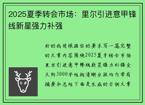 2025夏季转会市场：里尔引进意甲锋线新星强力补强