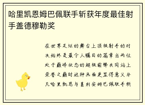 哈里凯恩姆巴佩联手斩获年度最佳射手盖德穆勒奖